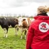 Team VIER PFOTEN Schweiz